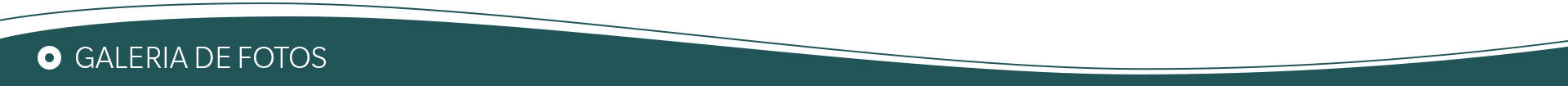 Galeria de Fotos